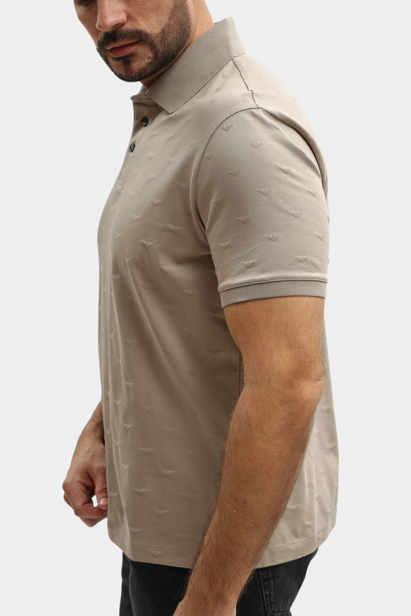 EM004912_AF10762 Поло Emporio Armani 