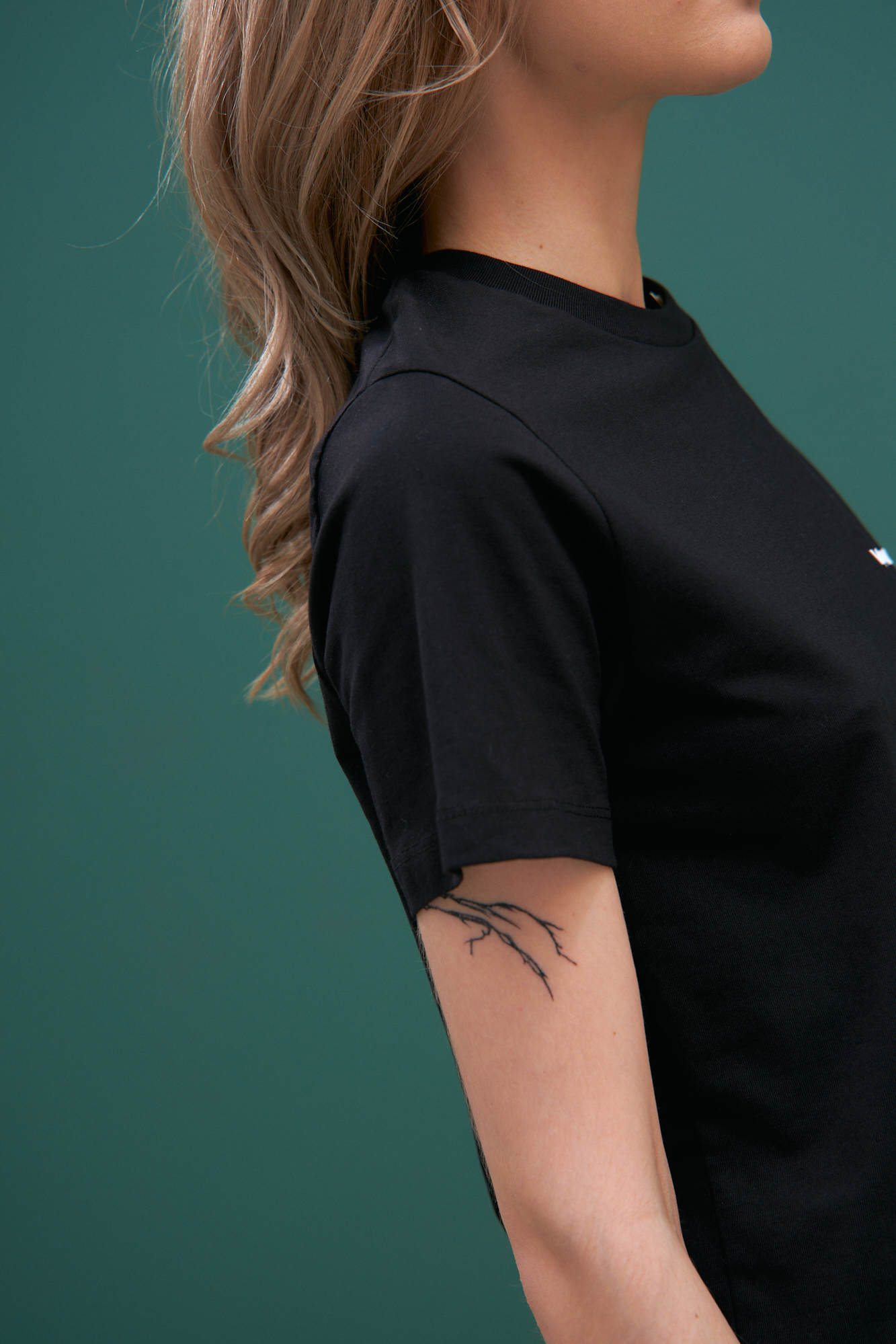 VW-232-22-017 футболка van mich 