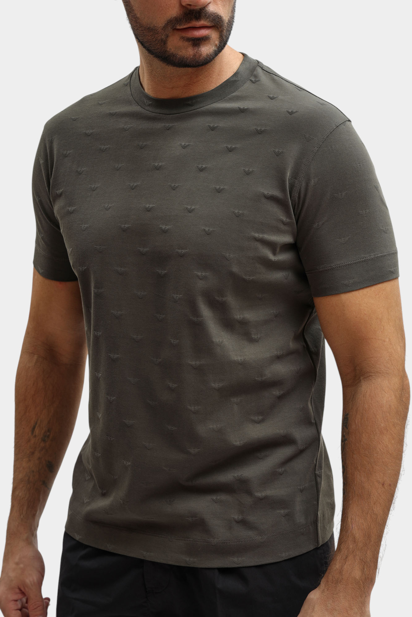 EM004522_AF10762_F8248 Футболка Emporio Armani 