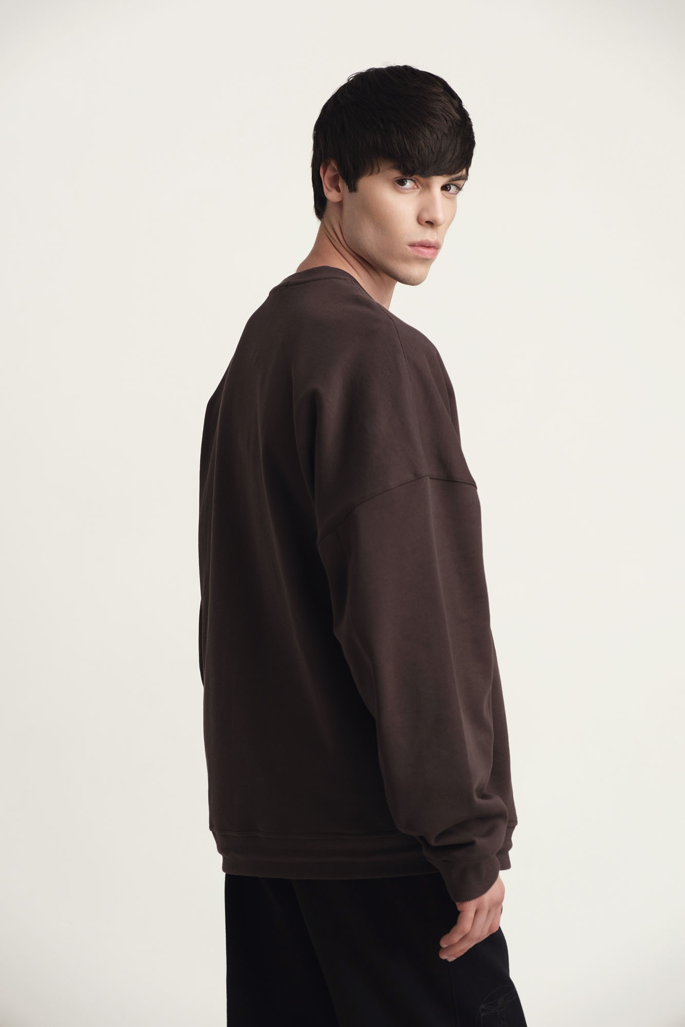 M-242-P-20-0017 Свитшот The Hills Коричневый