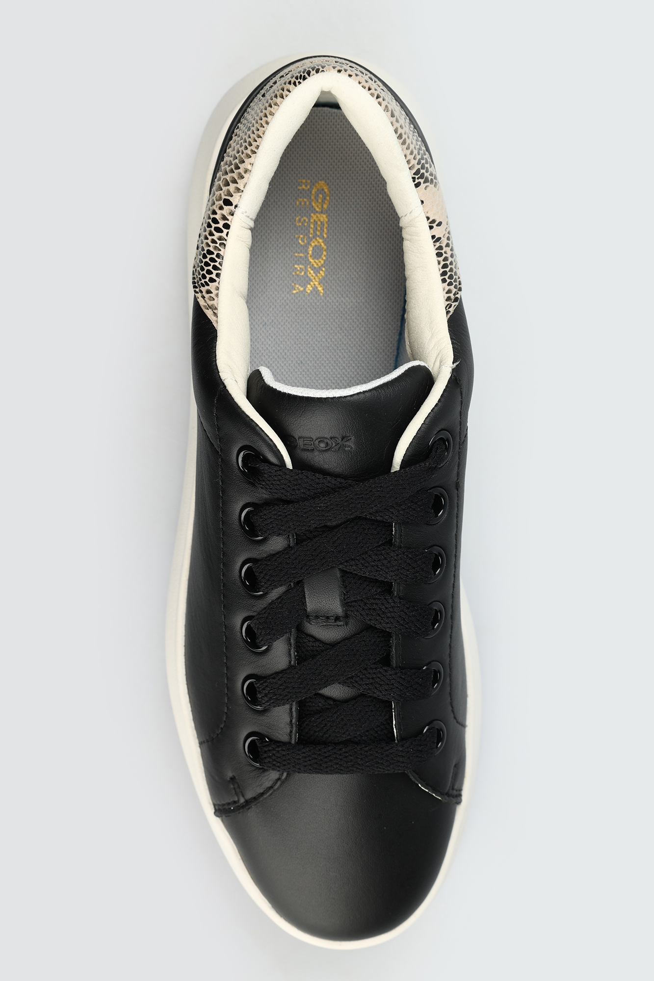 D45TCC085ARC Кеды Geox Черный