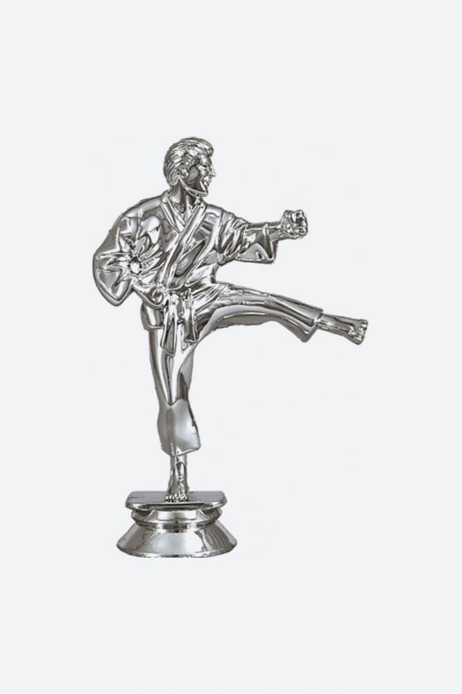 Фигура карате Кмс-триумф