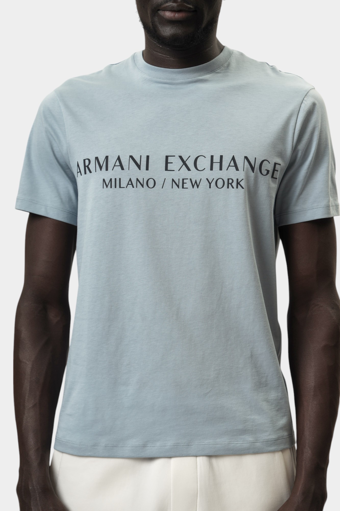 8NZT72_Z8H4Z Футболка Armani Exchange Голубой
