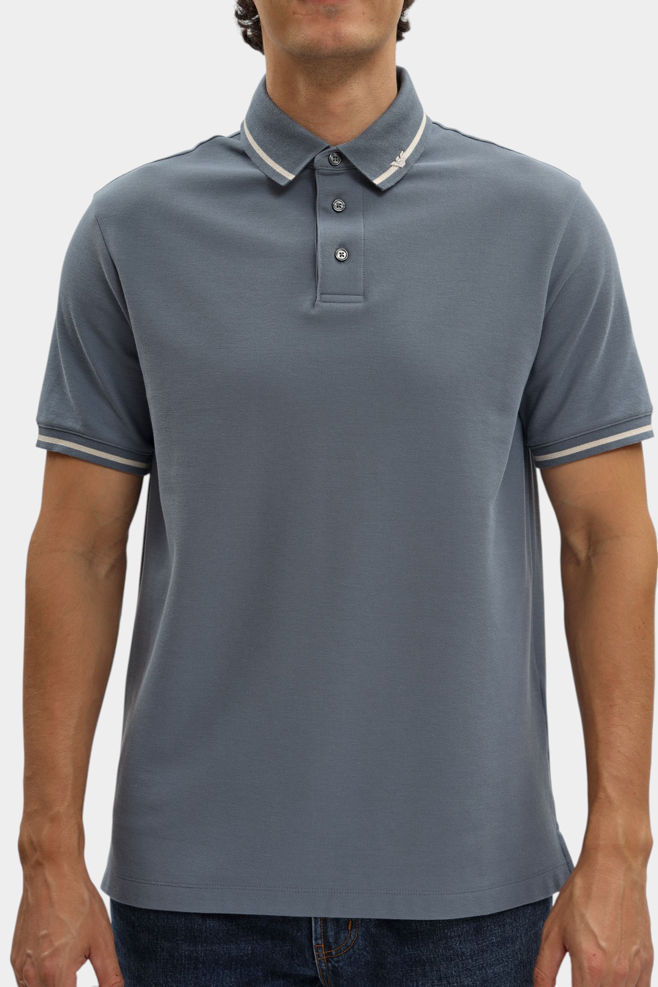 EM003003_ AF10497 Футболка Поло Emporio Armani Голубой