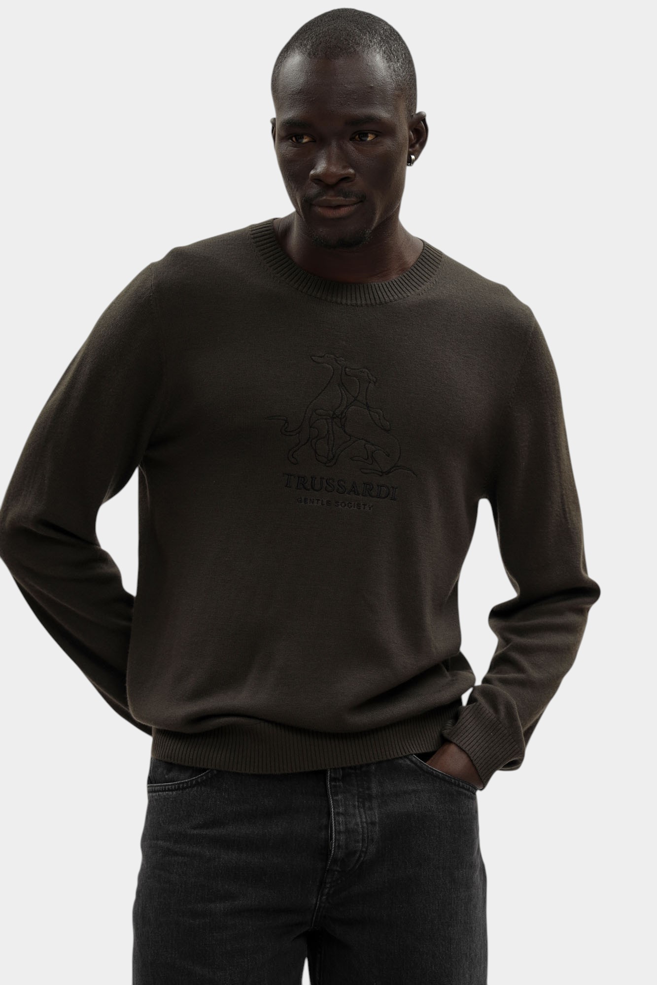 M0348000036N-MK609K03-318M Джемпер Trussardi Коричневый