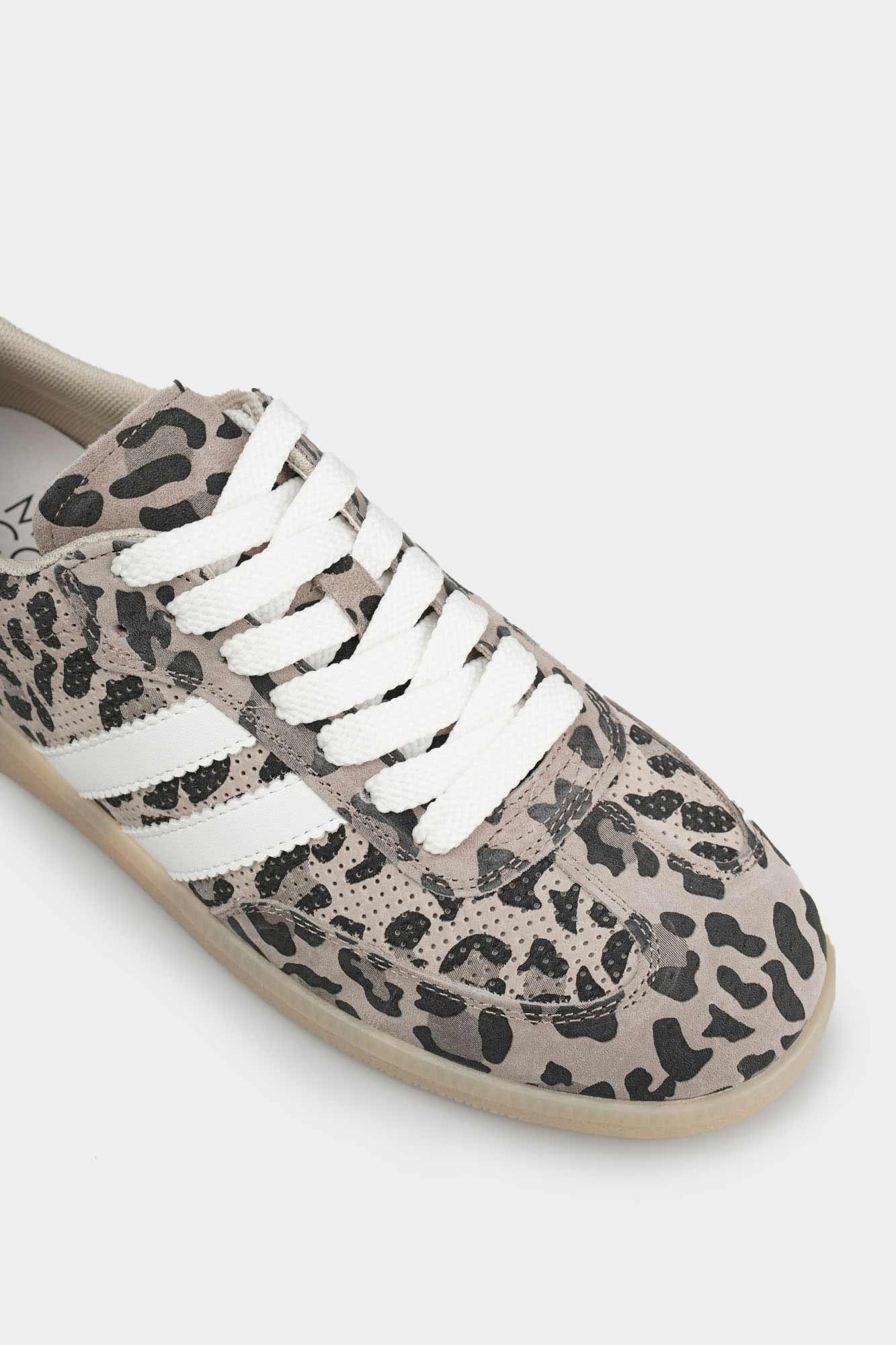 MC21111-WT Кеды Marc Cony Коричневый