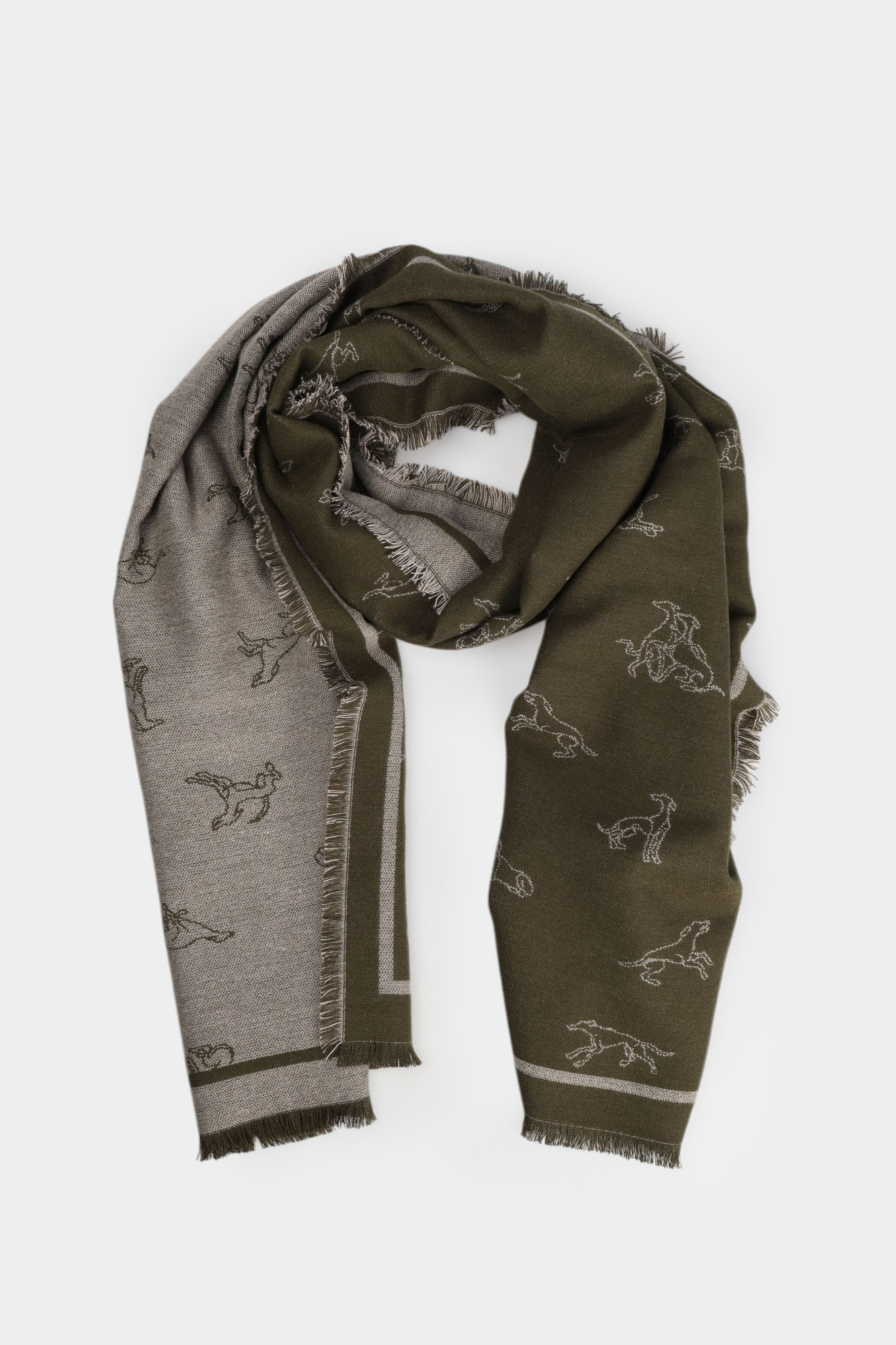 S601C000003N-WVX03T08-21YA Шарфы Trussardi Зеленый