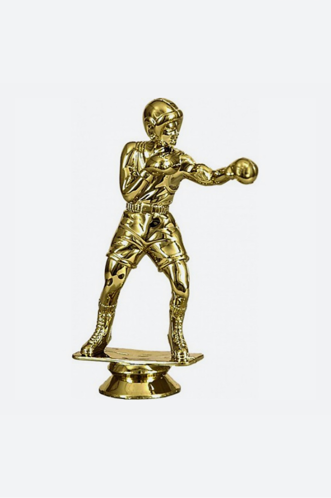 Фигура бокс Кмс-триумф