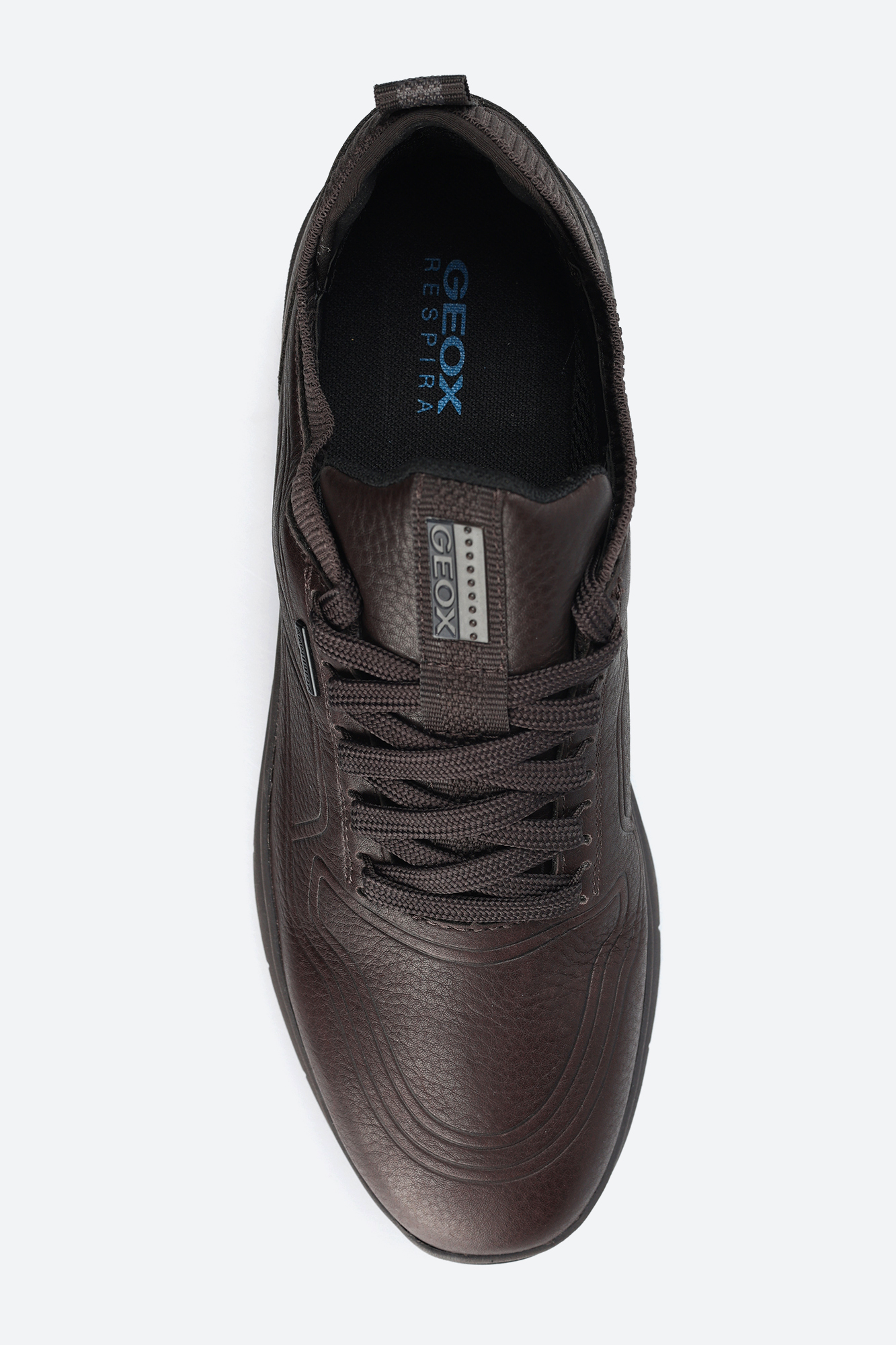 U26FDD000FVC6 Кроссовки Geox Коричневый