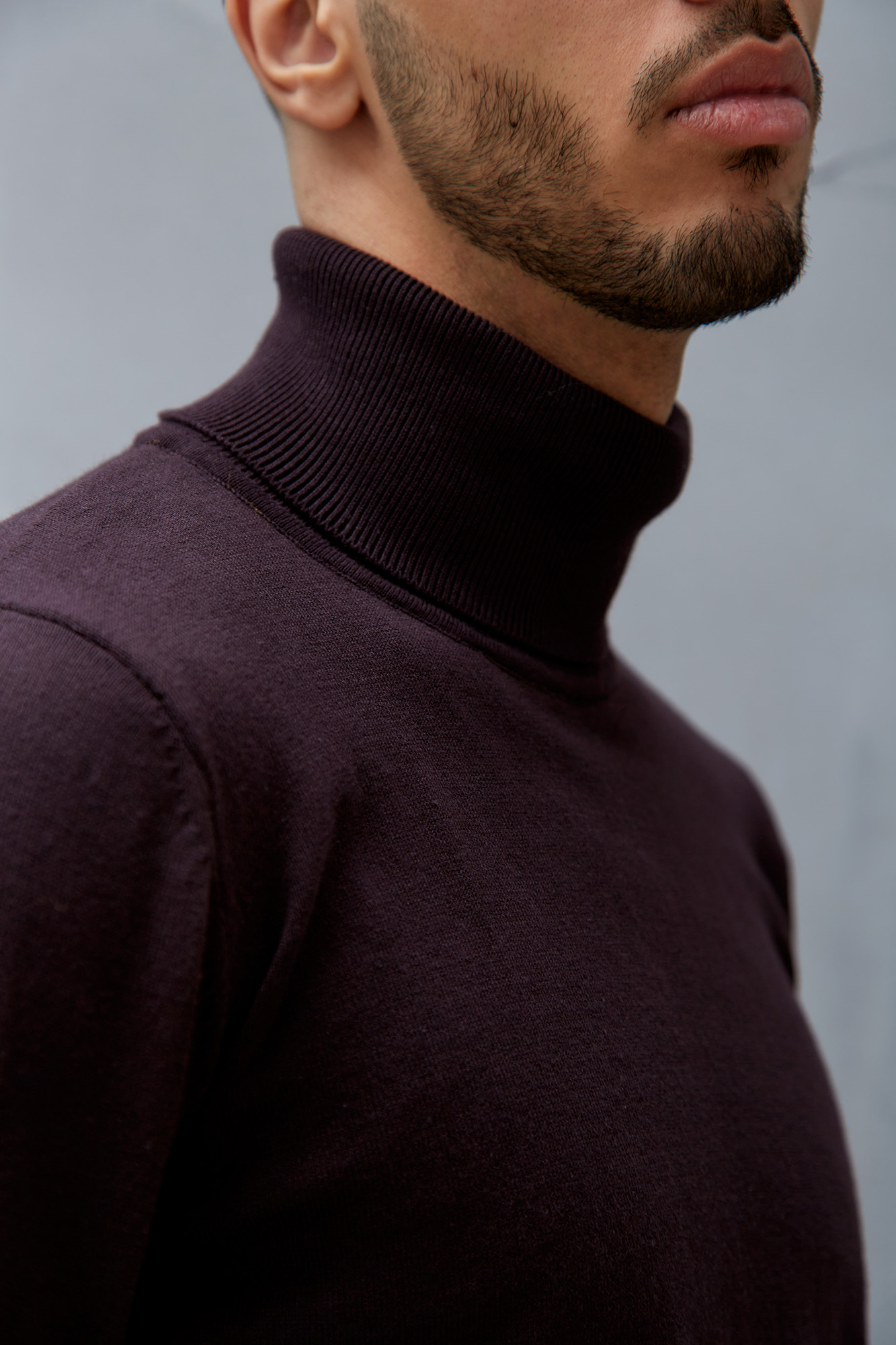 M-231-T-1105 Водолазка The Hills Бордовый