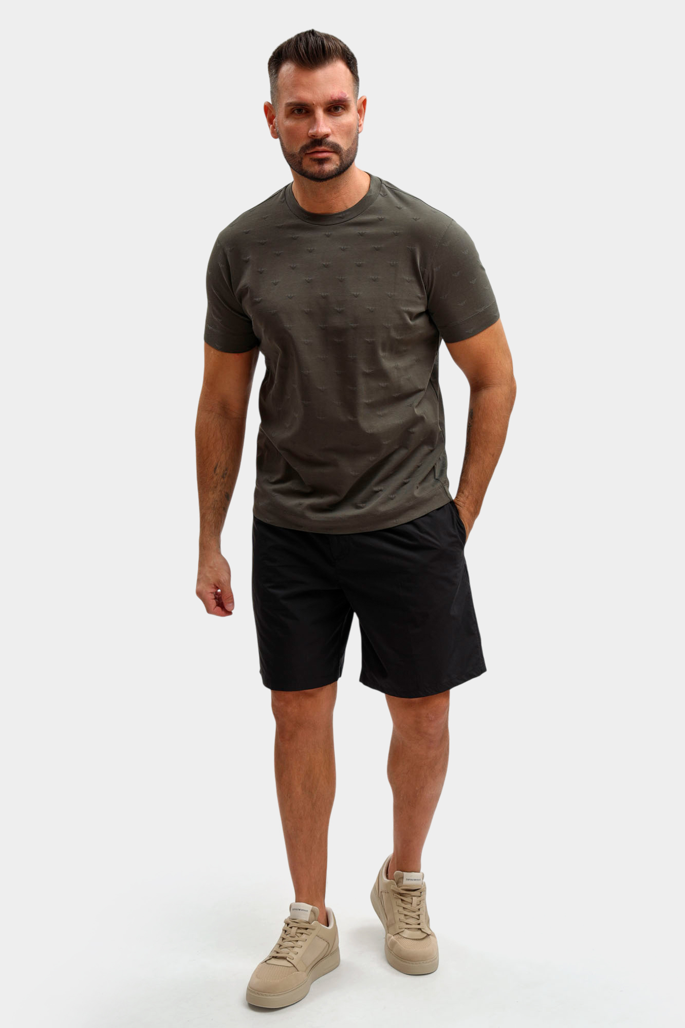 EM004522_AF10762_F8248 Футболка Emporio Armani 