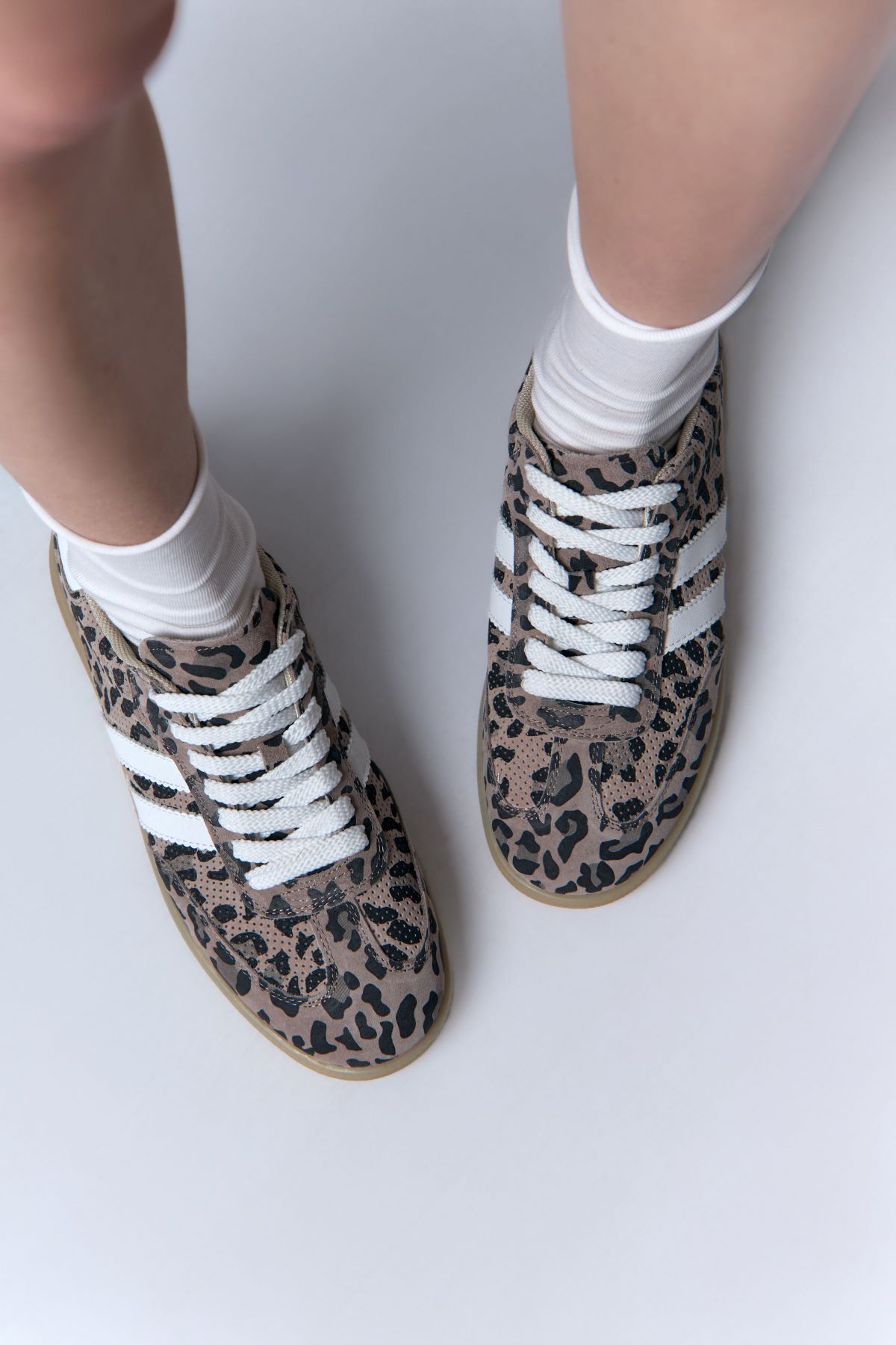 MC21111-WT Кеды Marc Cony Коричневый