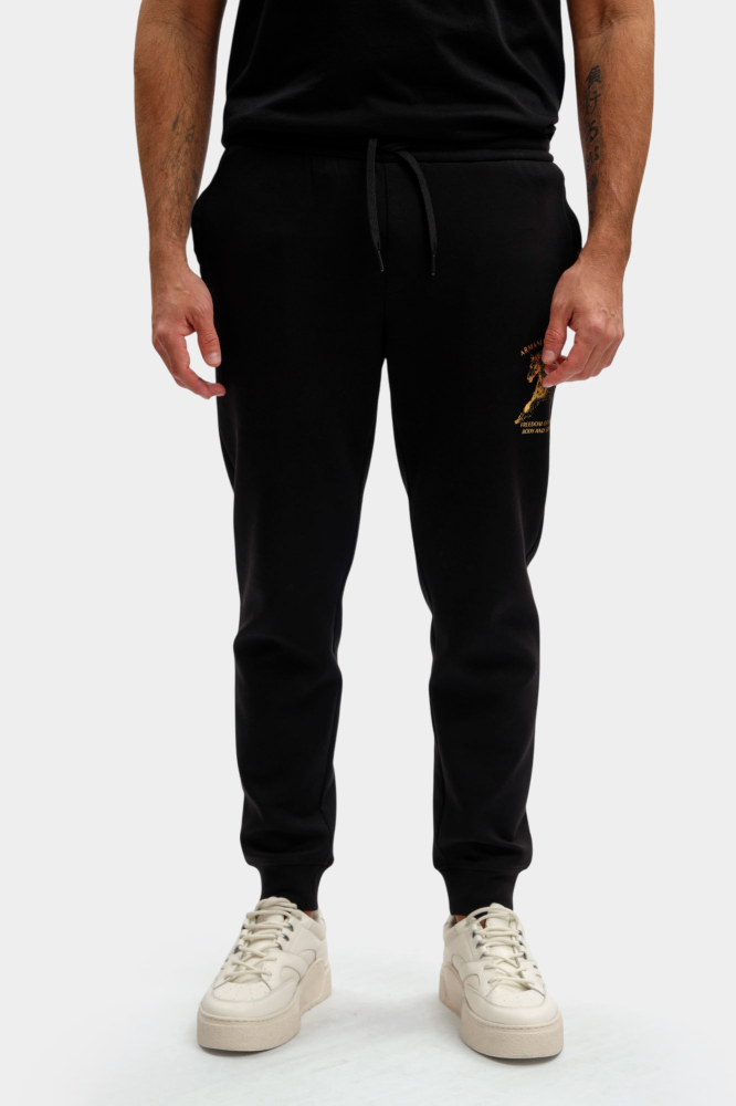 Брюки спортивные Armani Exchange