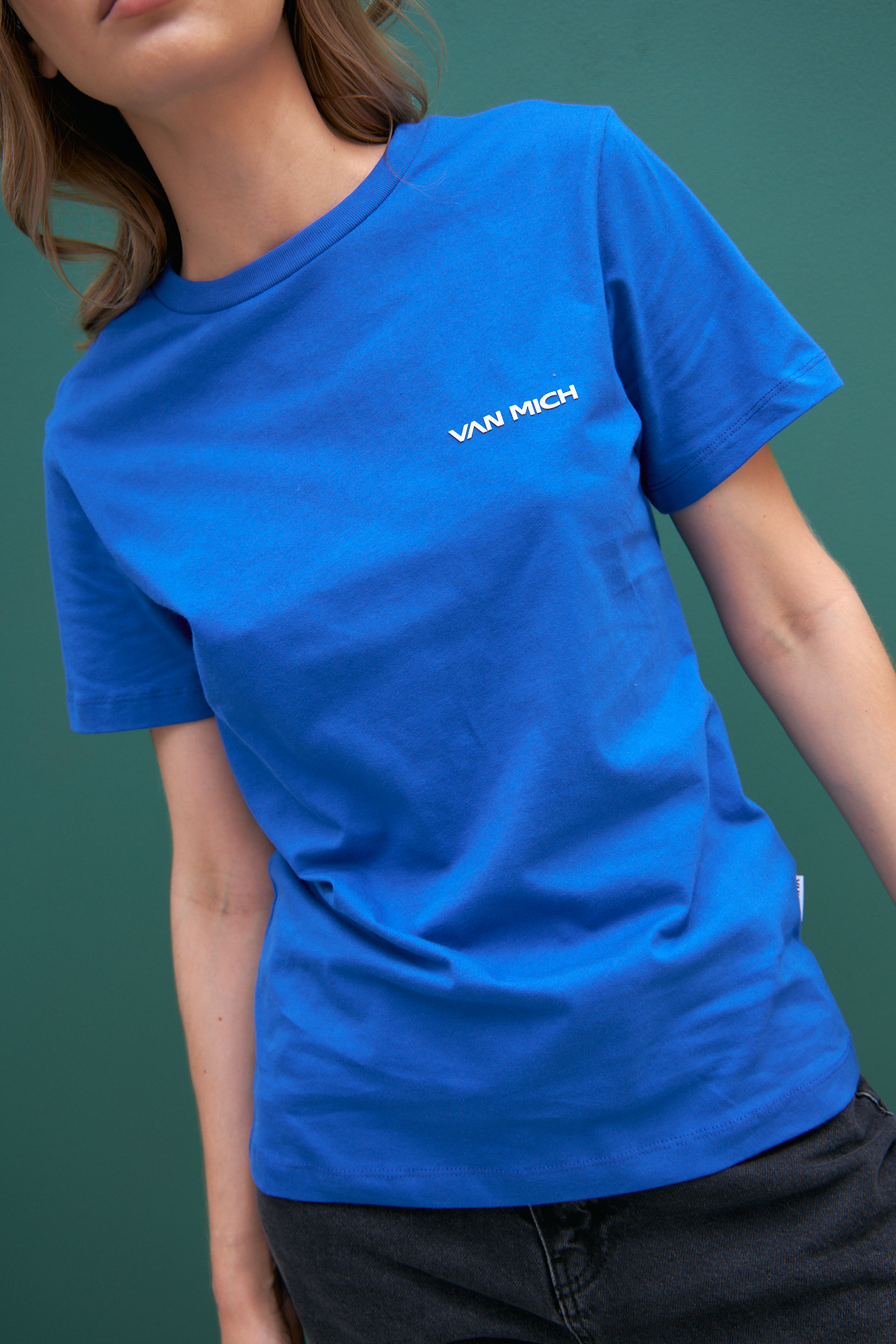 VW-232-22-017 футболка van mich 