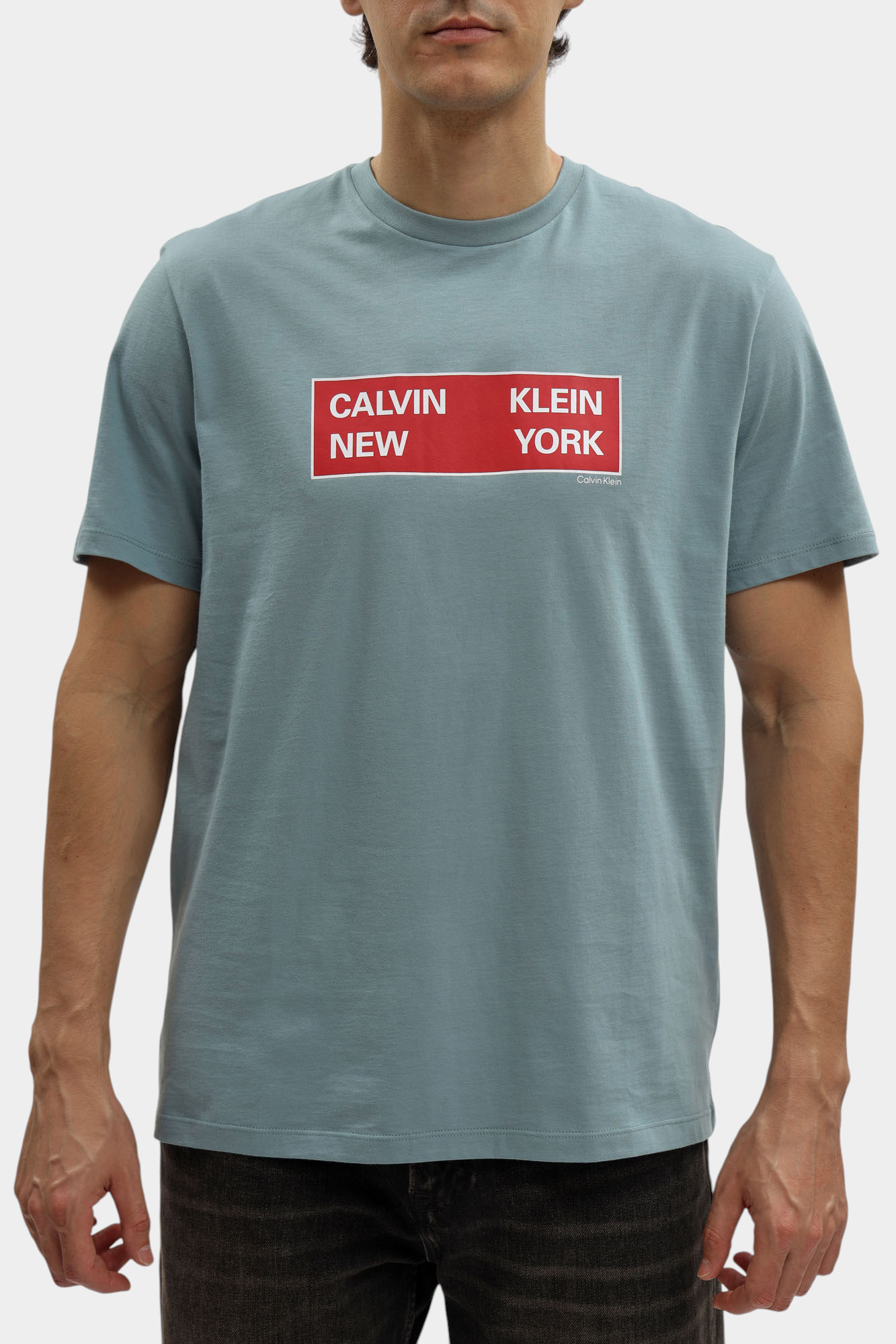 LV04RD816G Футболка Calvin Klein Jeans Голубой