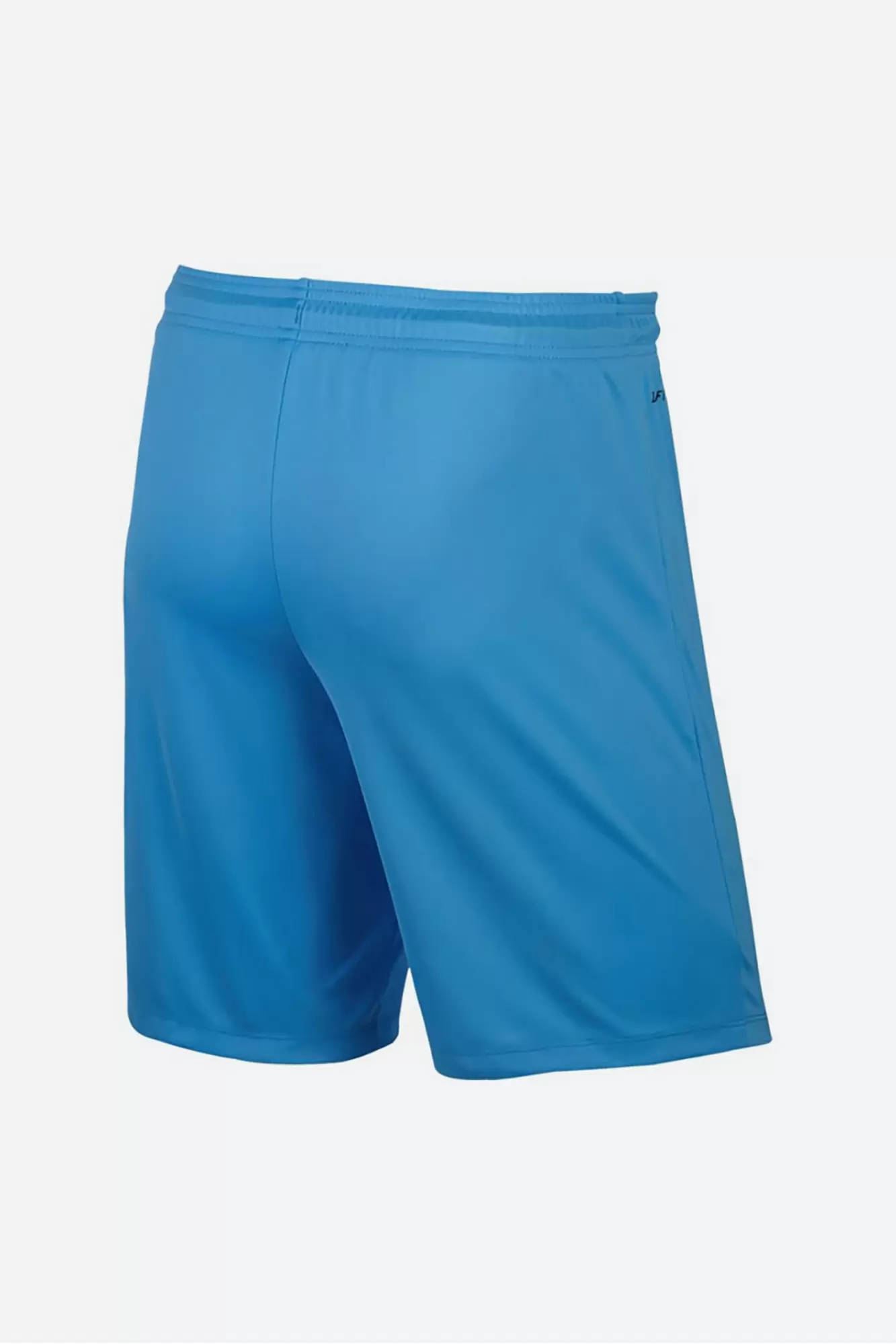 725887 Шорты Nike Голубой