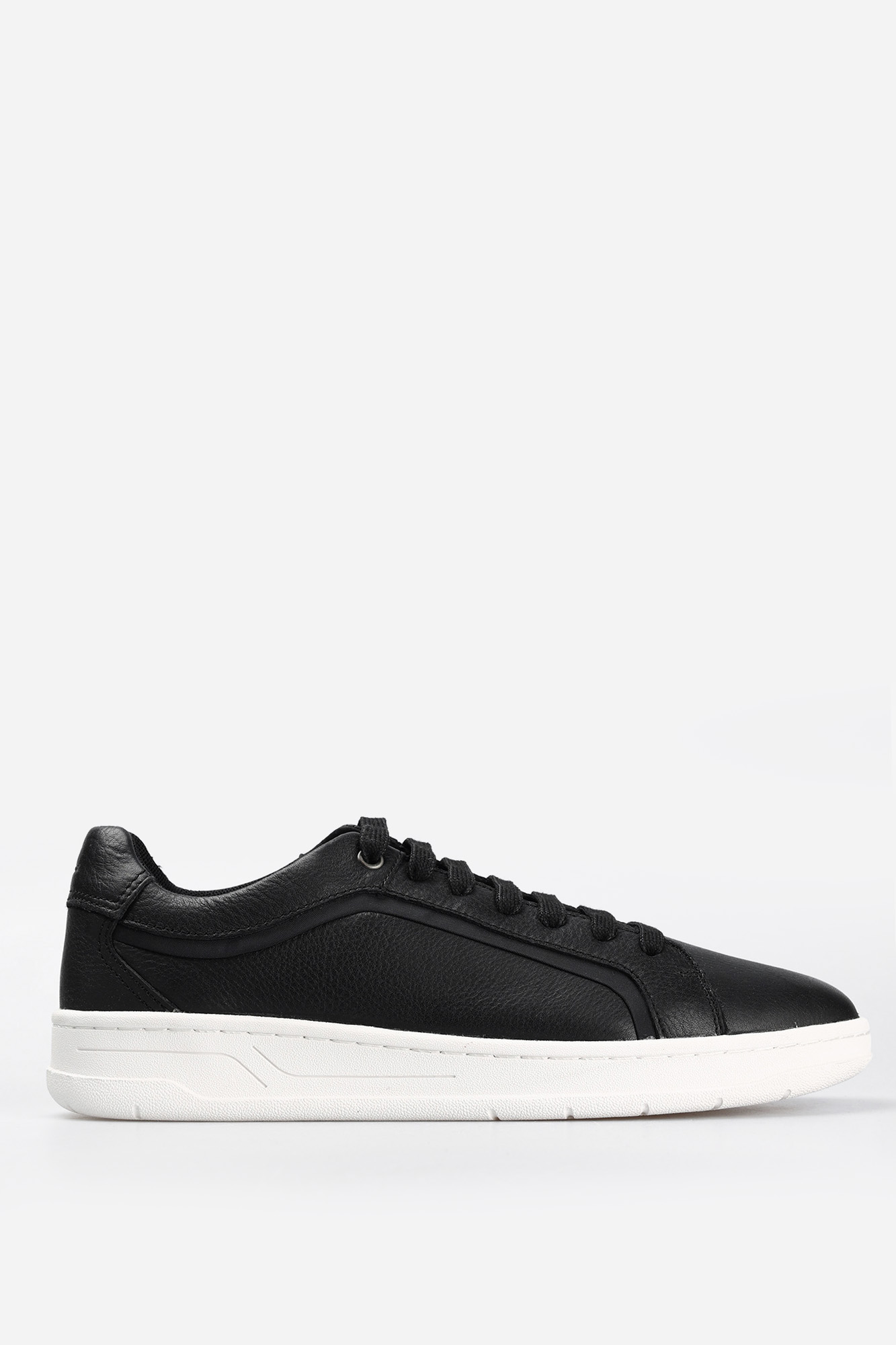 Geox leather sneakers online