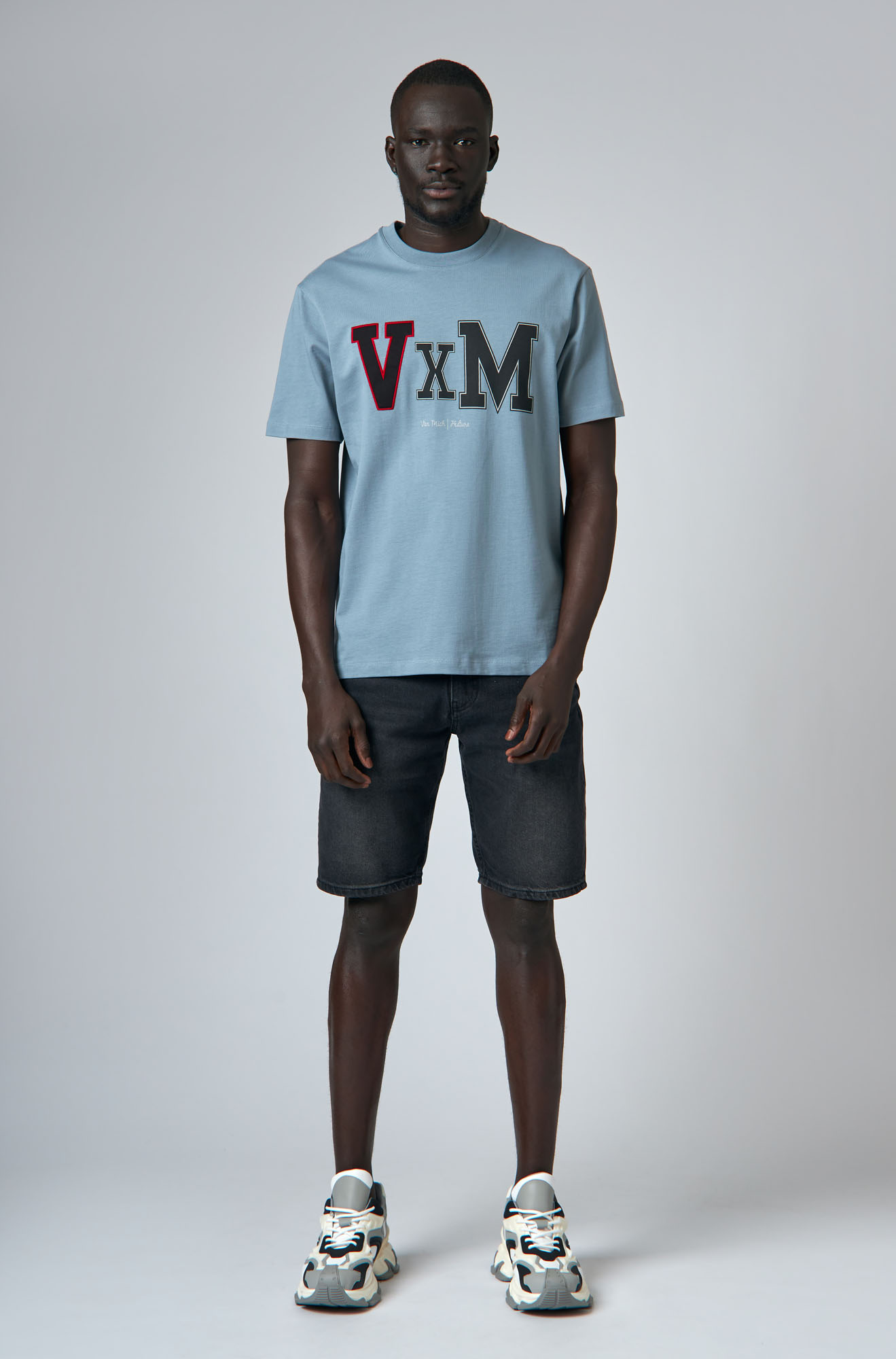 VM-ERK-22-420 Футболка Van Mich Серый