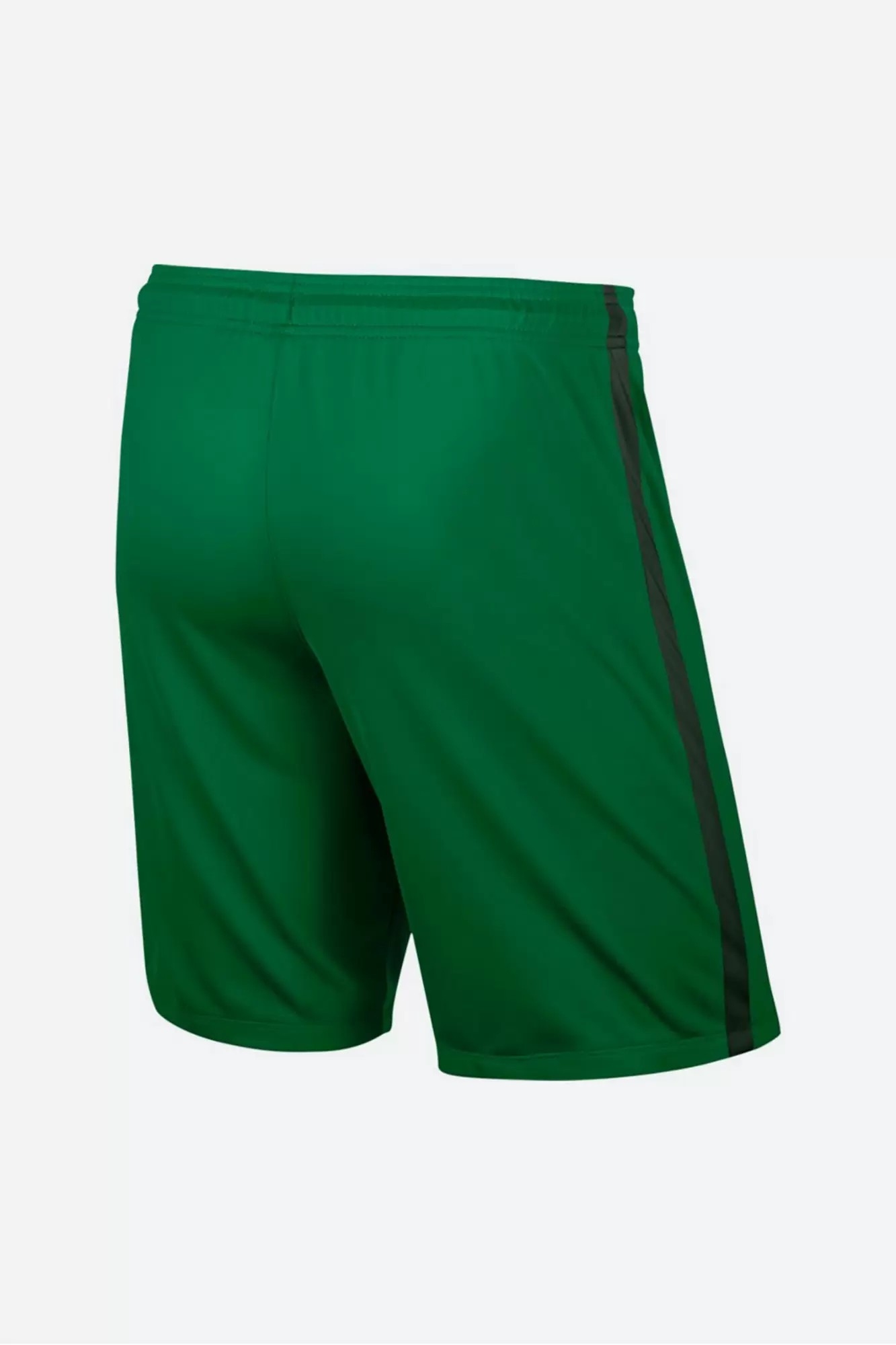 Шорты Nike Зеленый