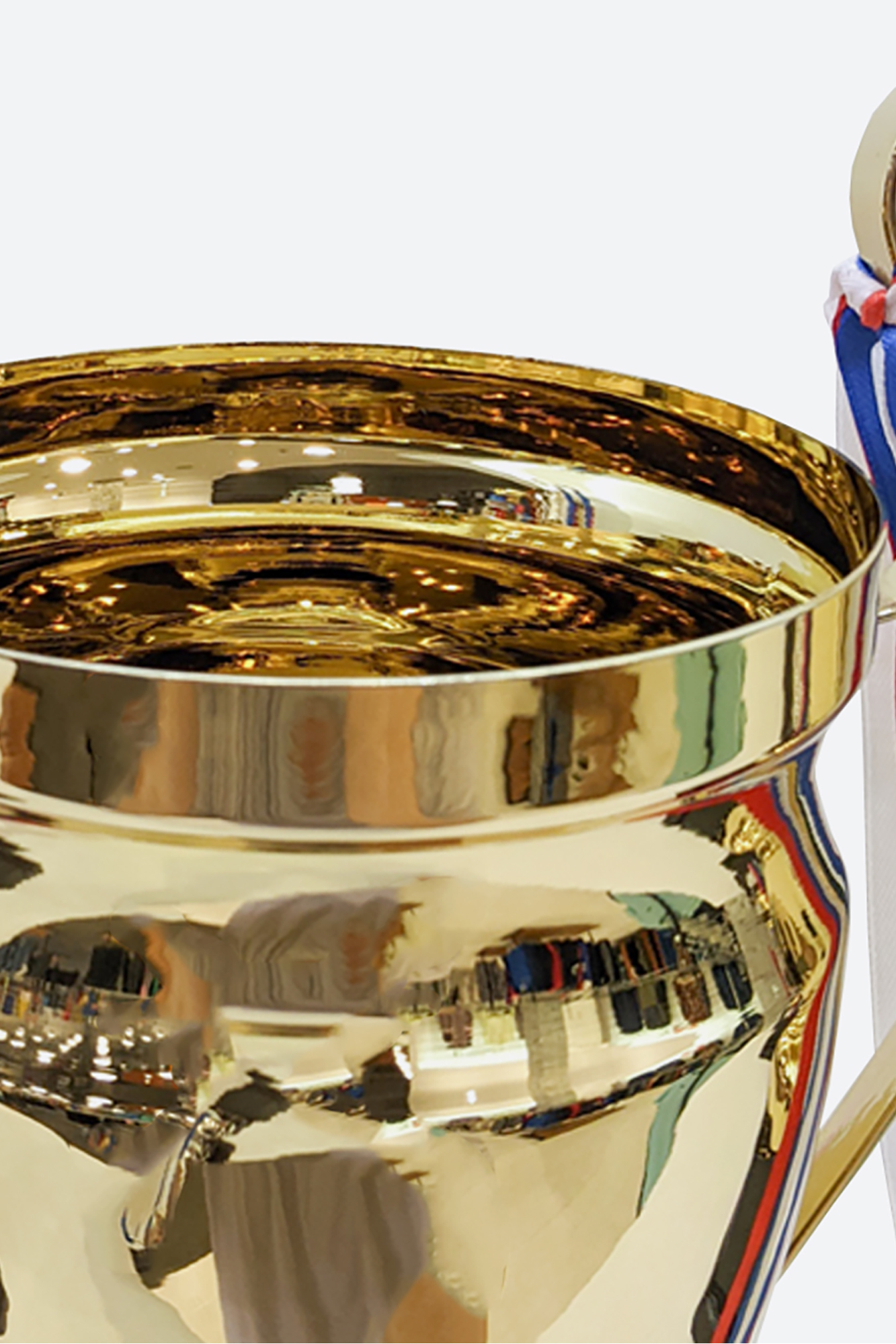 AAW25115-52CH24 Кубок 52см Van Mich Sports 