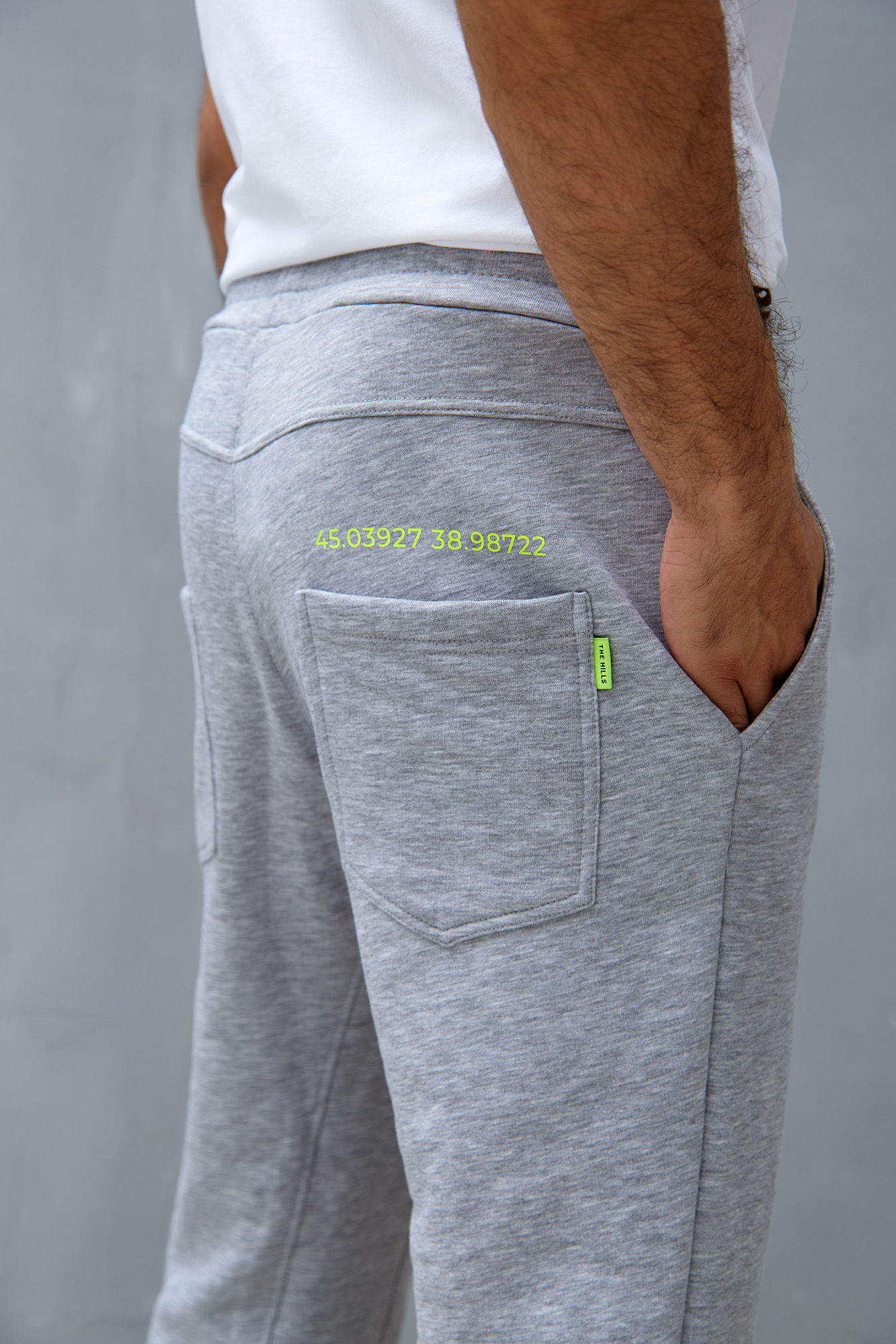 M-231-P-20-6109 Брюки спортивные The Hills Серый