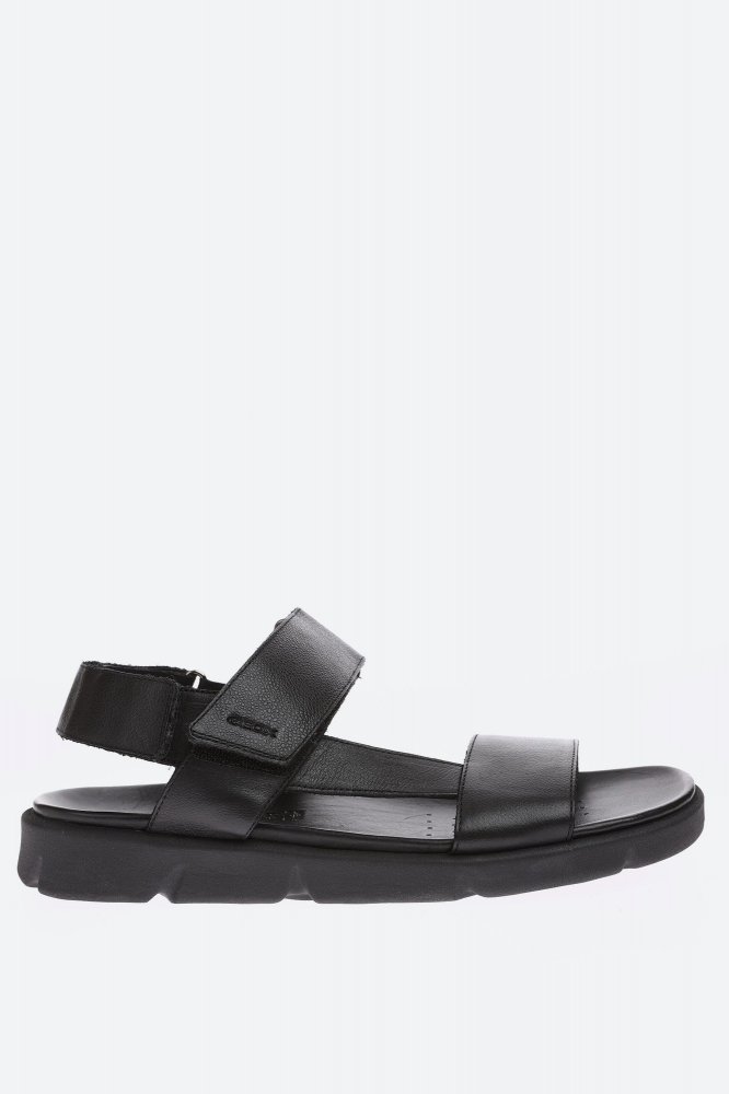 Шорты джинсовые Pepe Jeans  Синий