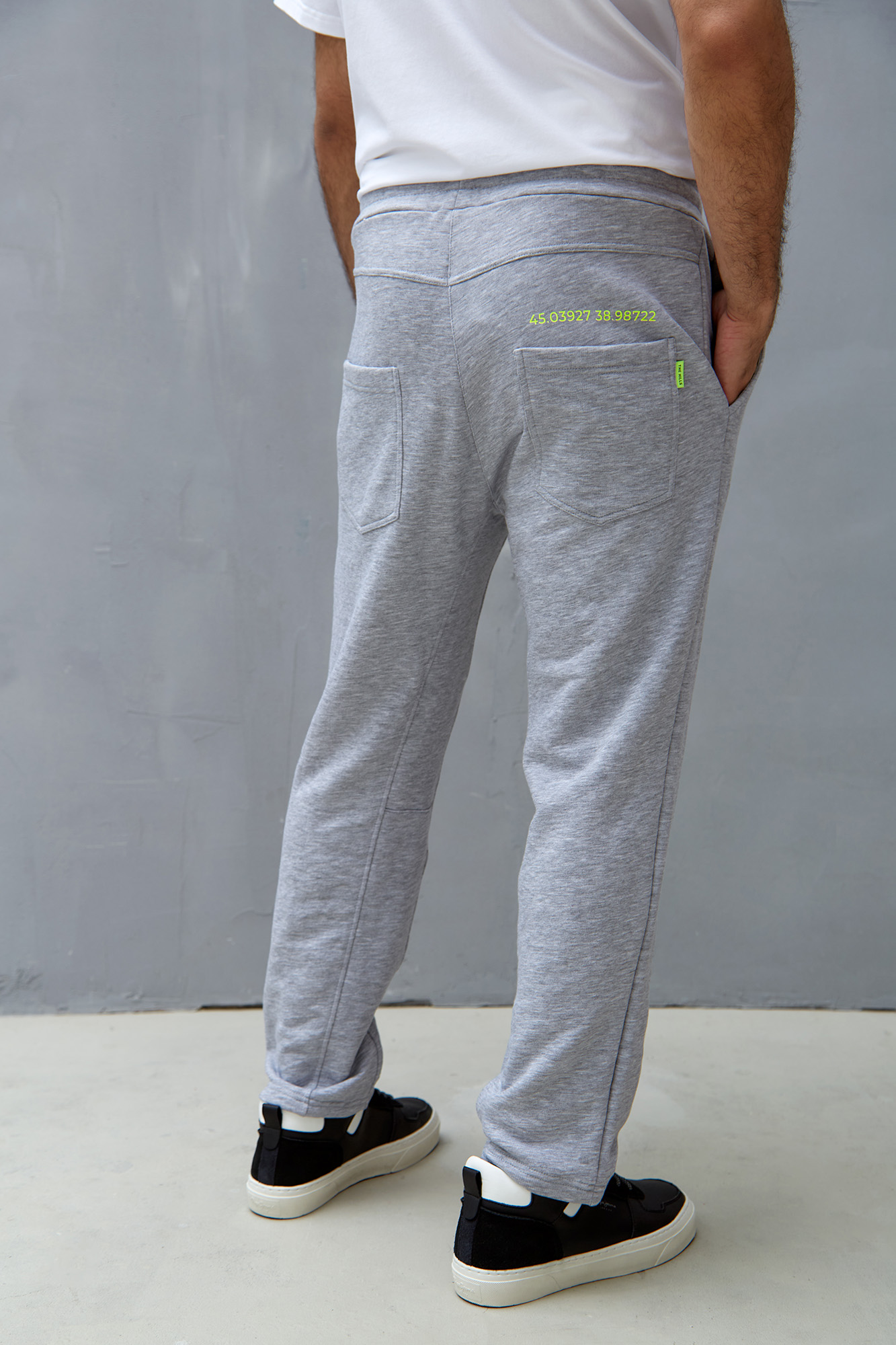 M-231-P-20-6109 Брюки спортивные The Hills Серый