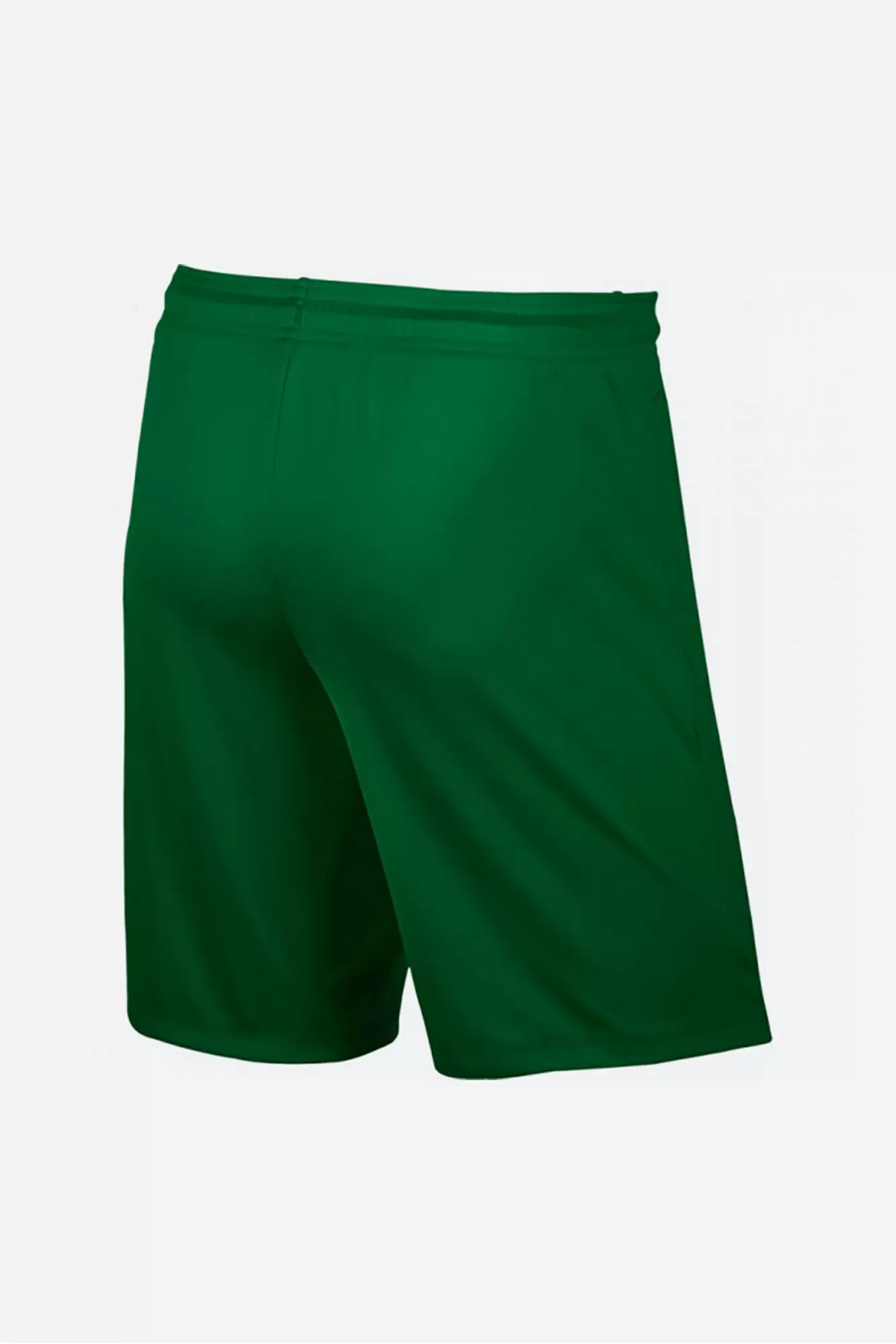 725887 Шорты Nike Зеленый