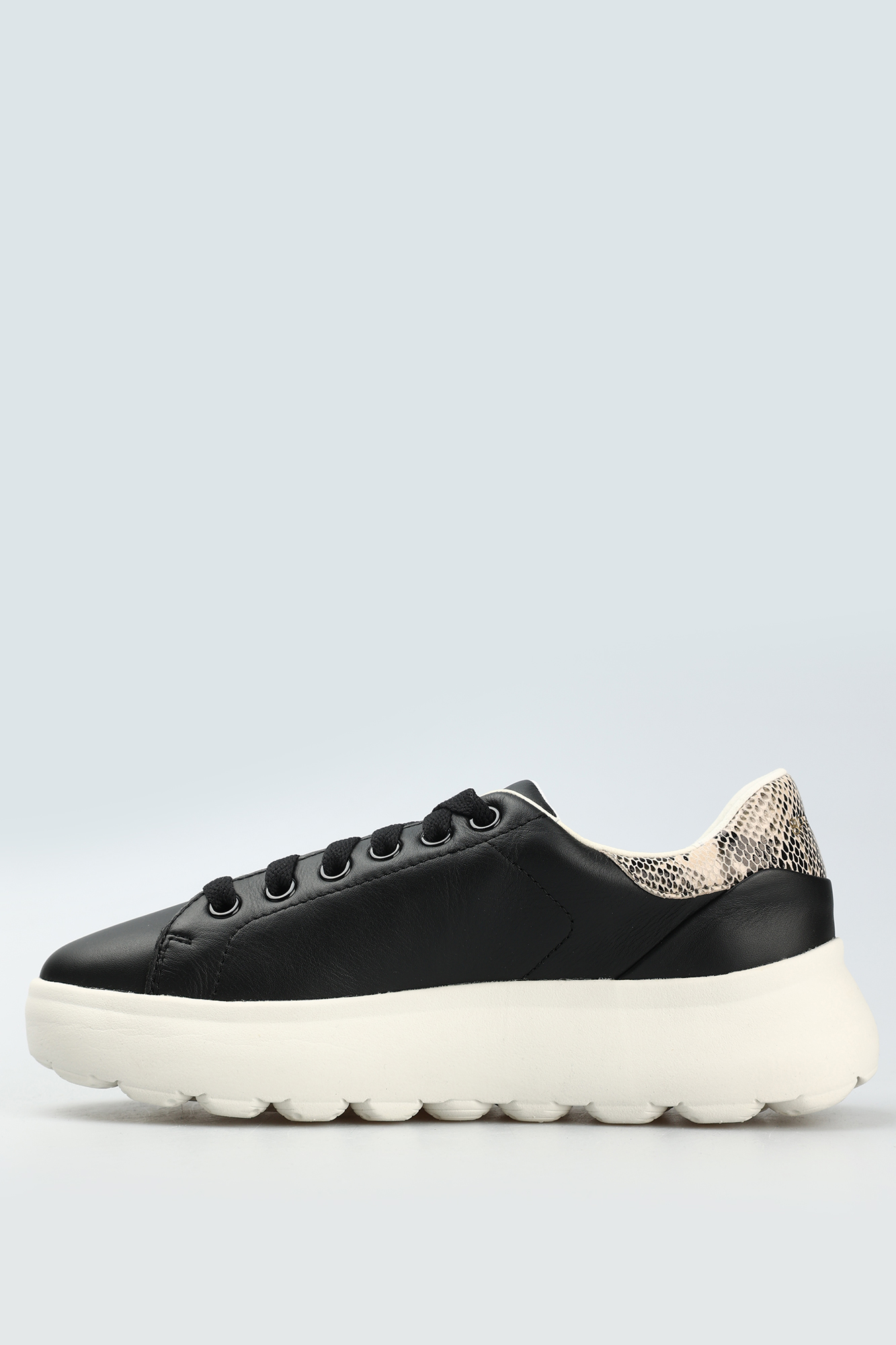 D45TCC085ARC Кеды Geox Черный