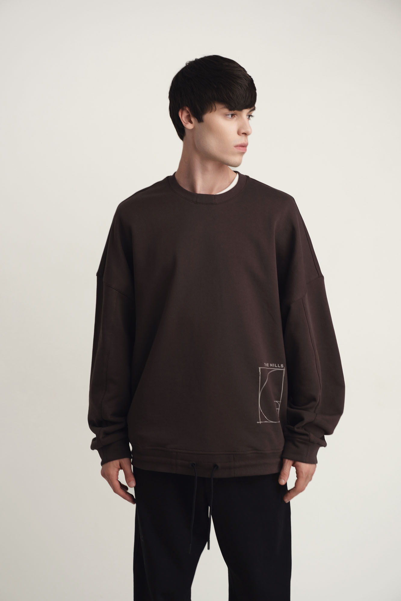 M-242-P-20-0017 Свитшот The Hills Коричневый