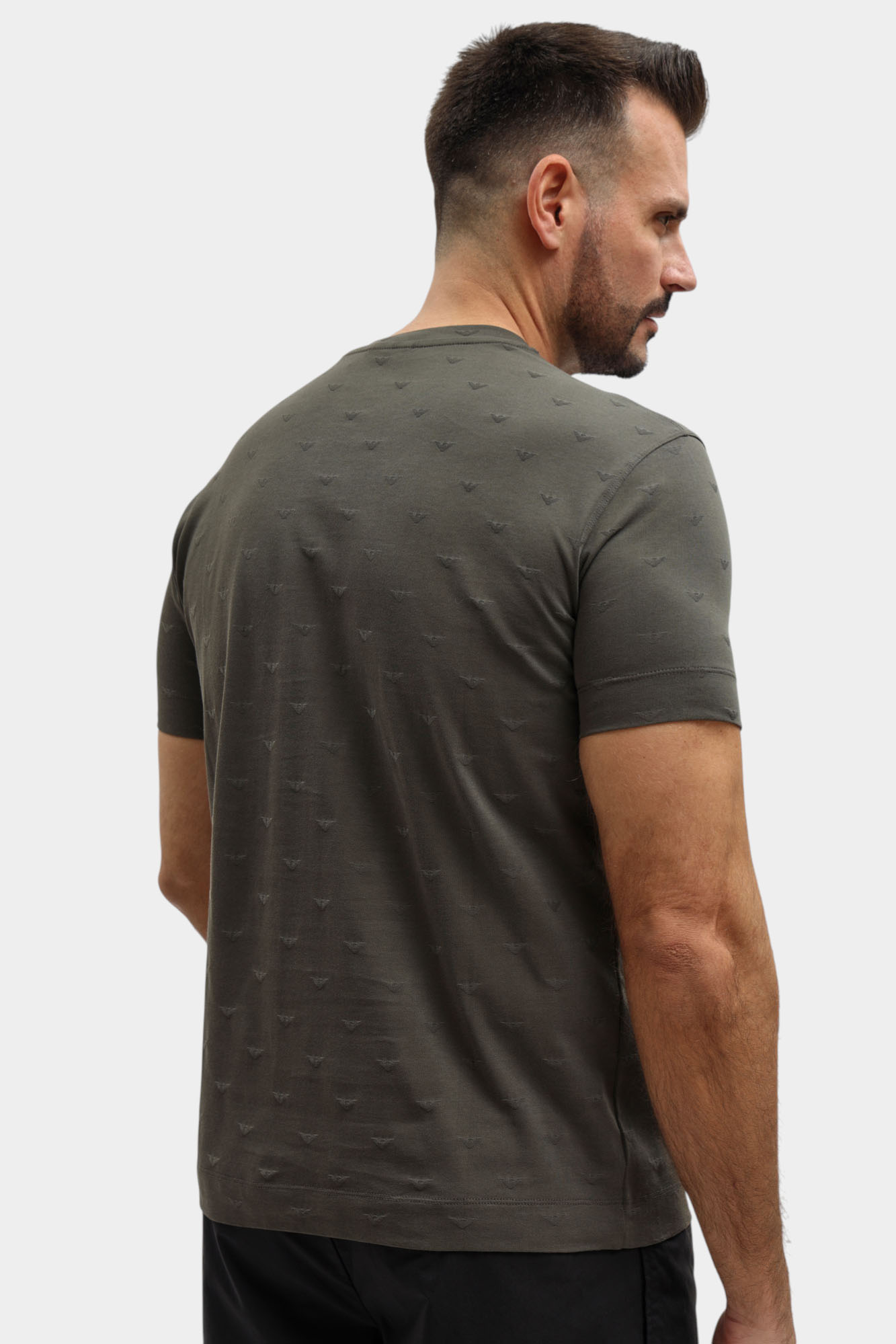 EM004522_AF10762_F8248 Футболка Emporio Armani 