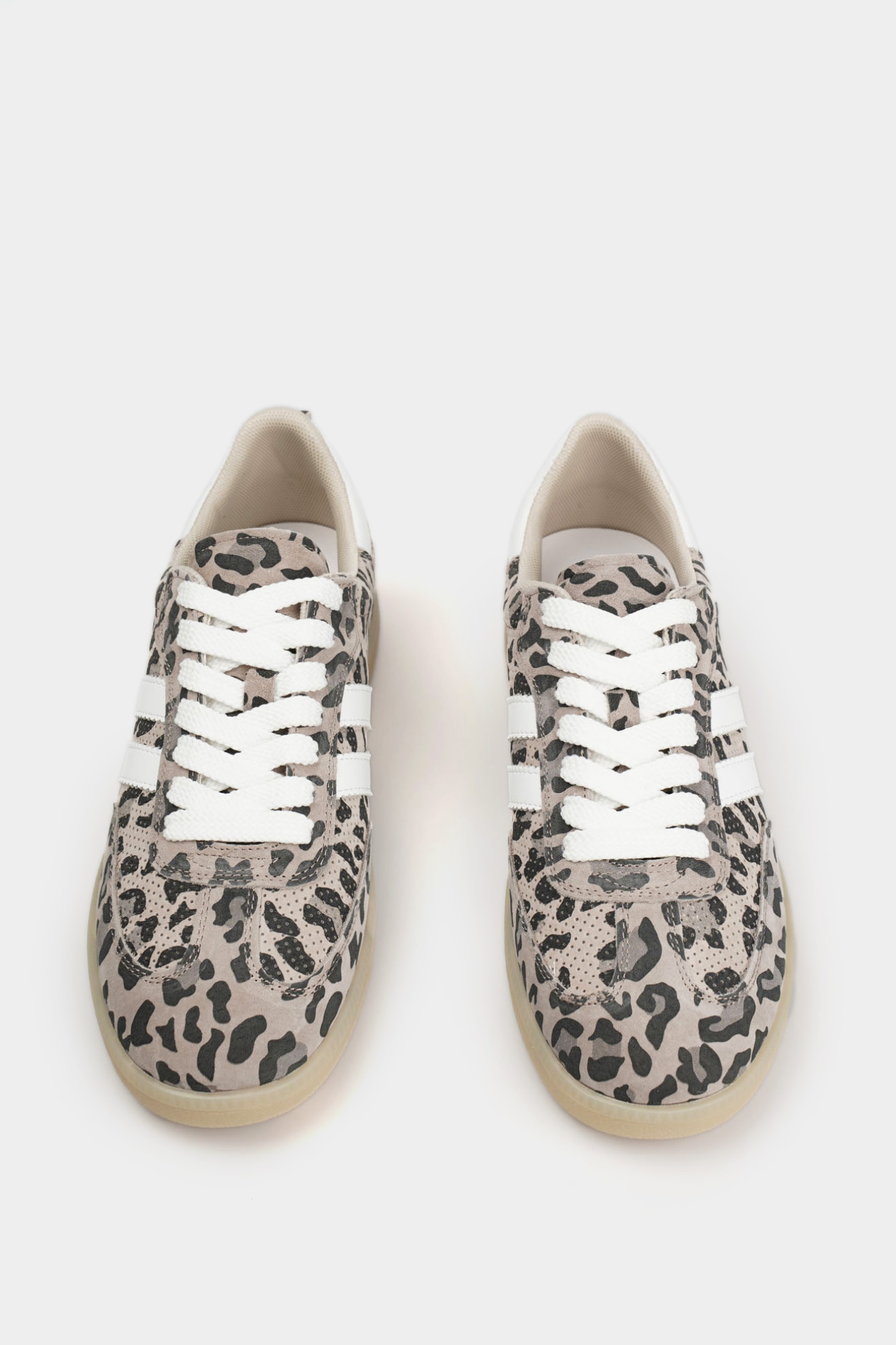 MC21111-WT Кеды Marc Cony Коричневый