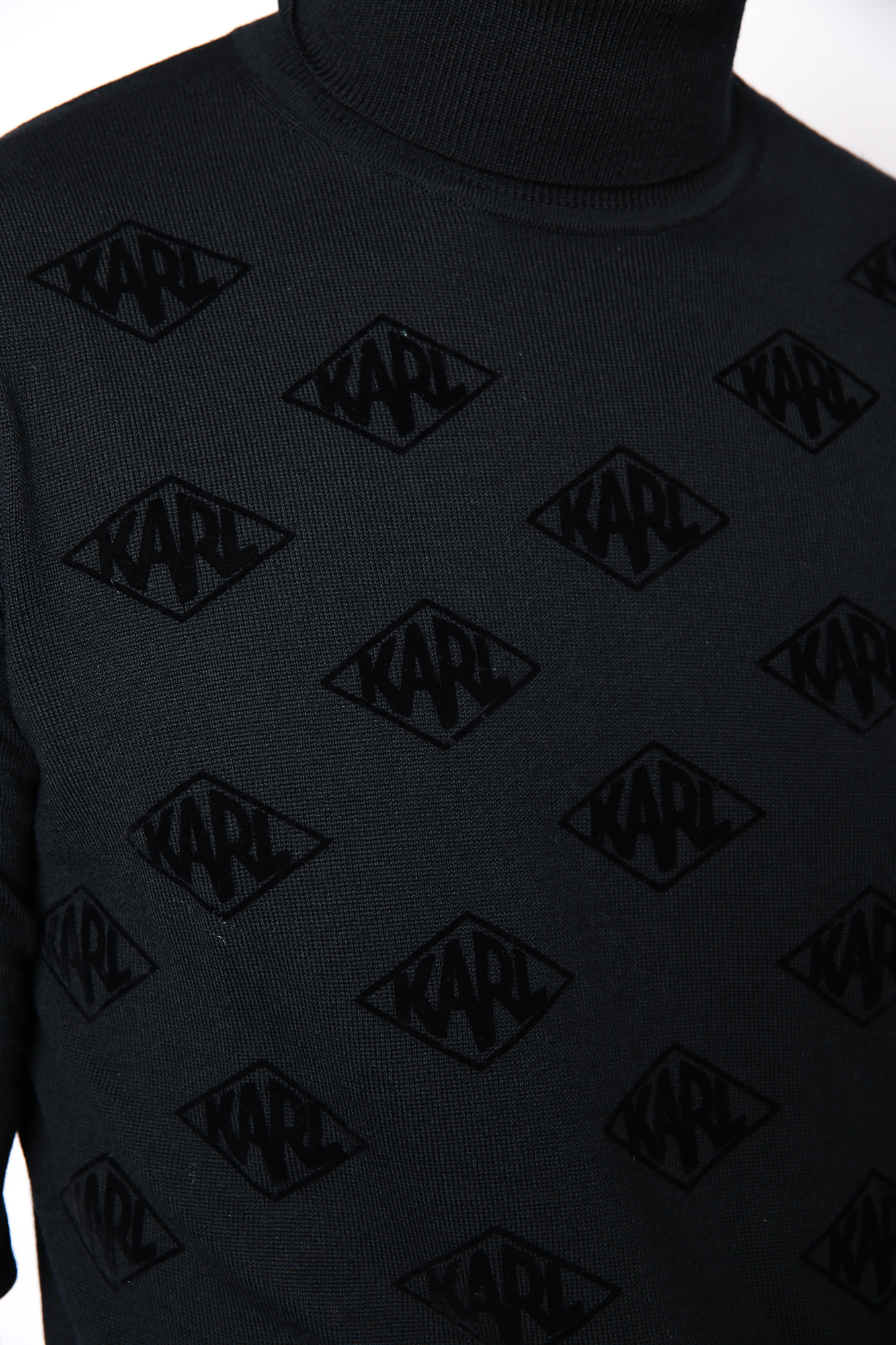 512399_655011 Водолазка Karl Lagerfeld Черный