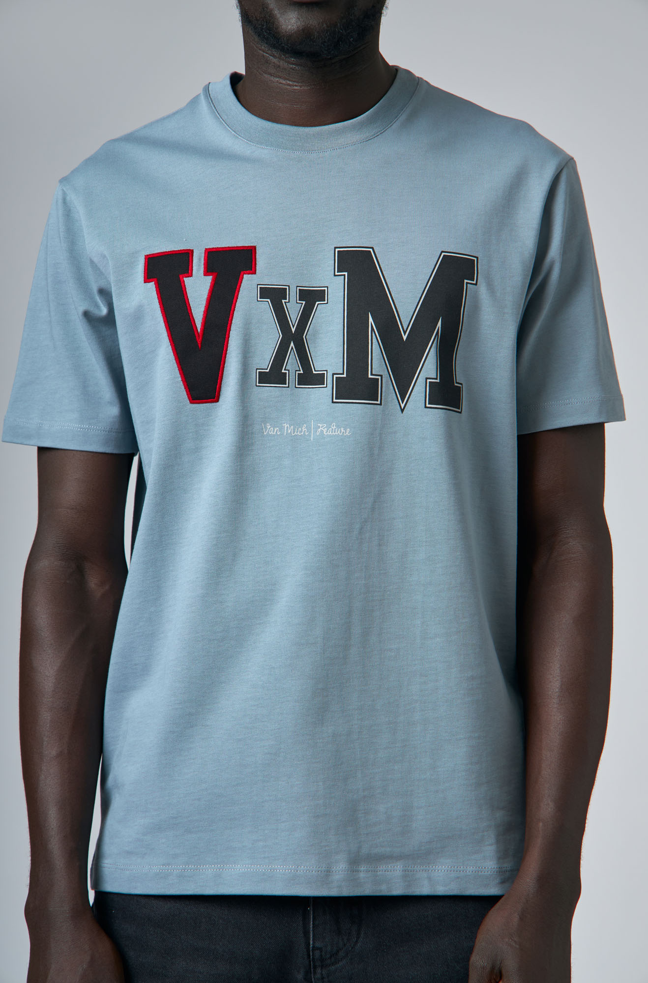 VM-ERK-22-420 Футболка Van Mich Серый