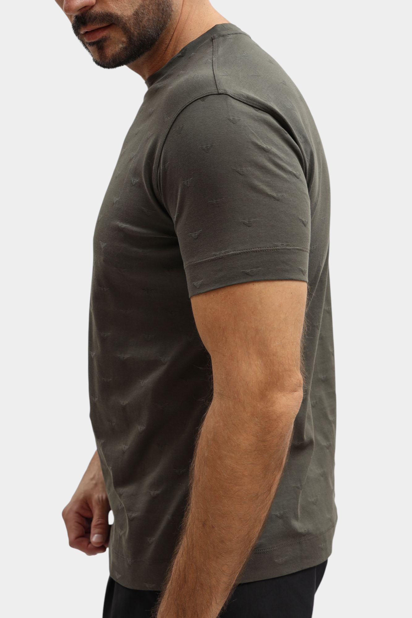 EM004522_AF10762_F8248 Футболка Emporio Armani 