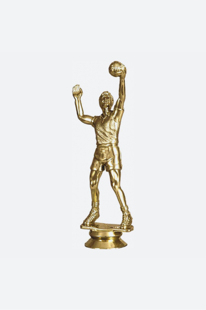 Фигура волейбол Кмс-триумф