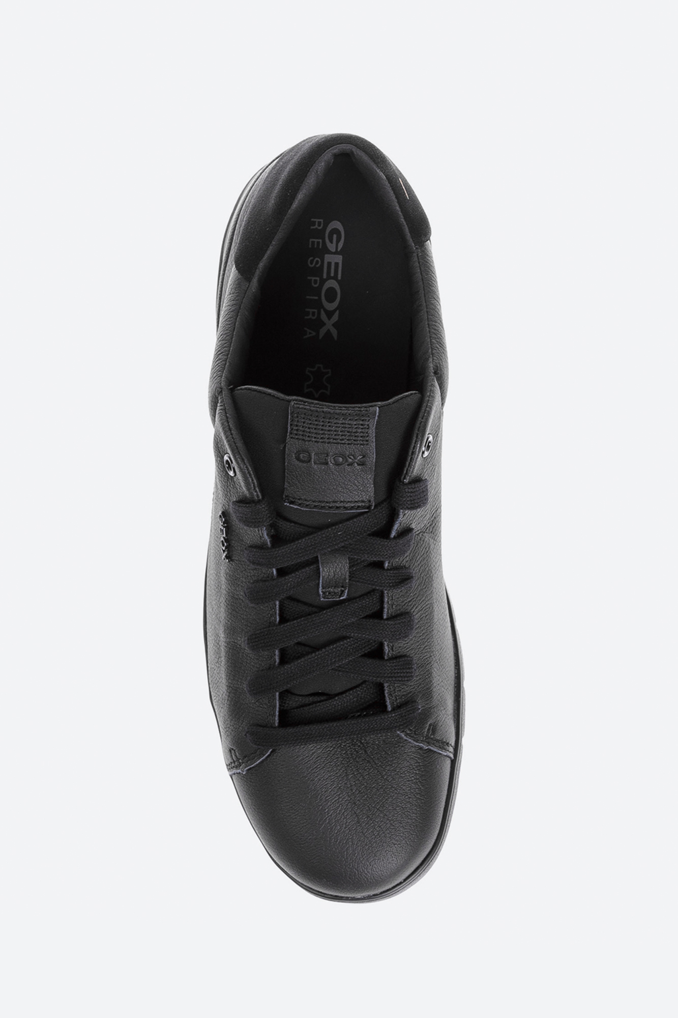 U16CYC000LM Кеды Geox Черный