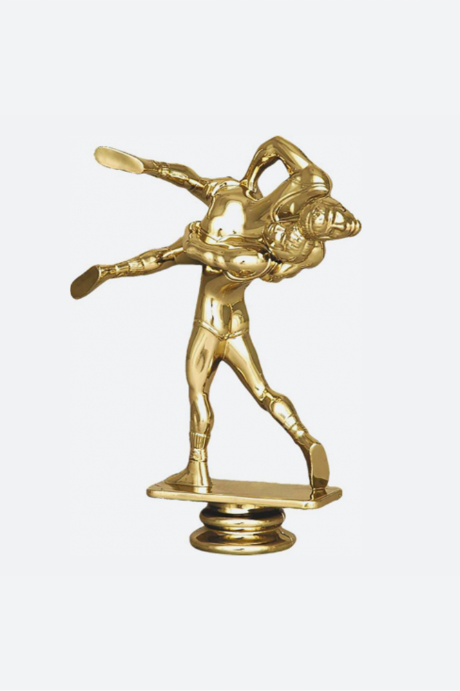 Фигура борьба Кмс-триумф