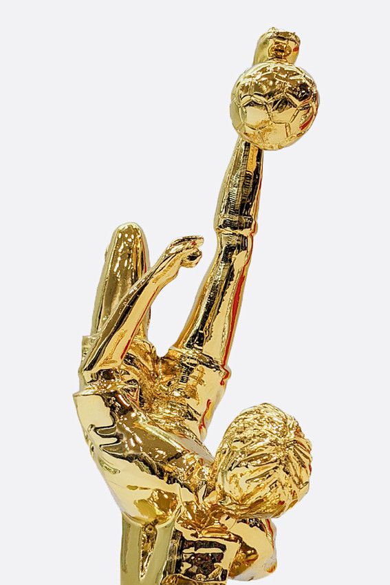 Кубок Van Mich Спорт Золотой