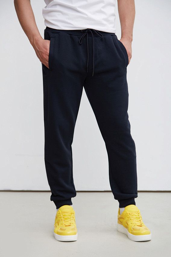 Брюки спортивные Van Mich Синий