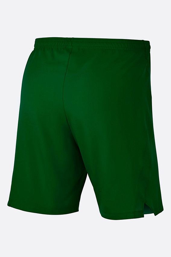 Шорты Nike Зеленый