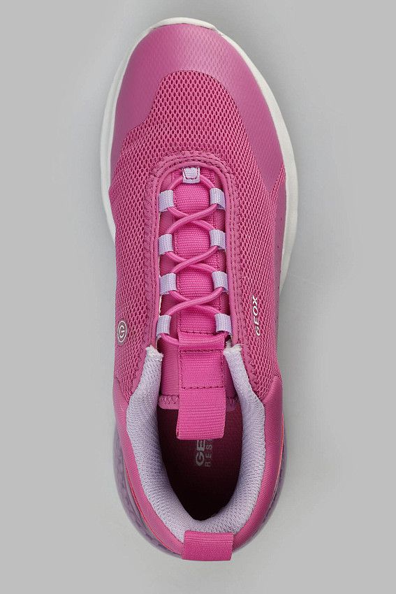 Кроссовки Geox Розовый