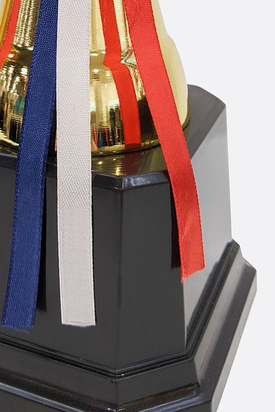 Кубок Van Mich Спорт Золотой