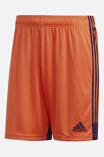 Шорты Adidas