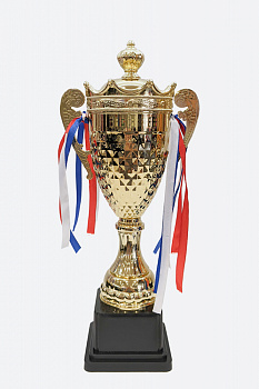 Кубок 37см Van Mich Sports