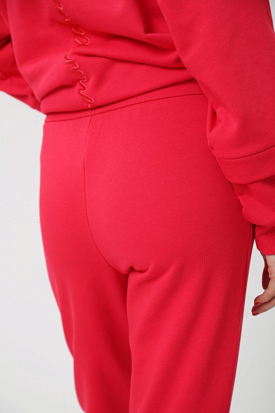 Брюки спортивные Armani Exchange Красный