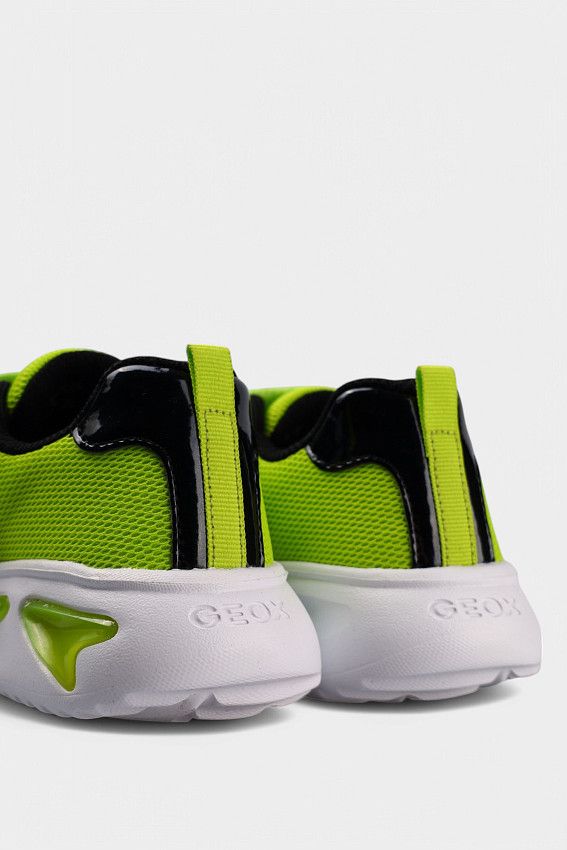 Кроссовки Geox Зеленый
