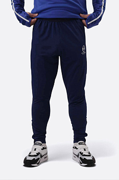 Брюки тренировочные Van Mich Sports