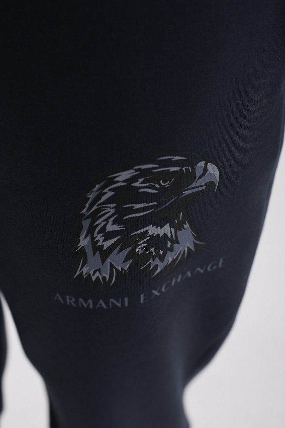 Брюки спортивные джоггеры Armani Exchange Синий