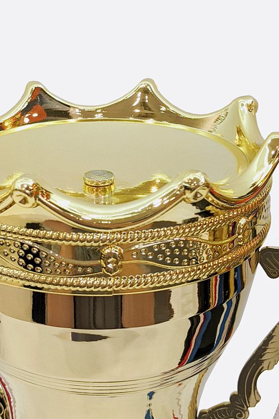 Кубок Van Mich Спорт Золотой